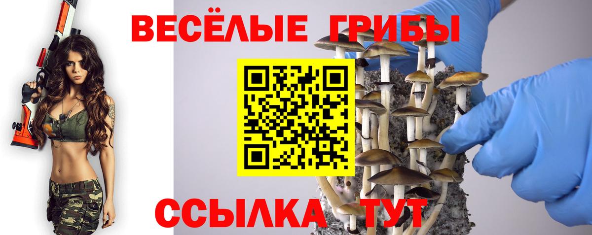 Мценск  Псилоцибиновые грибы мицелий  Вход с VPN 